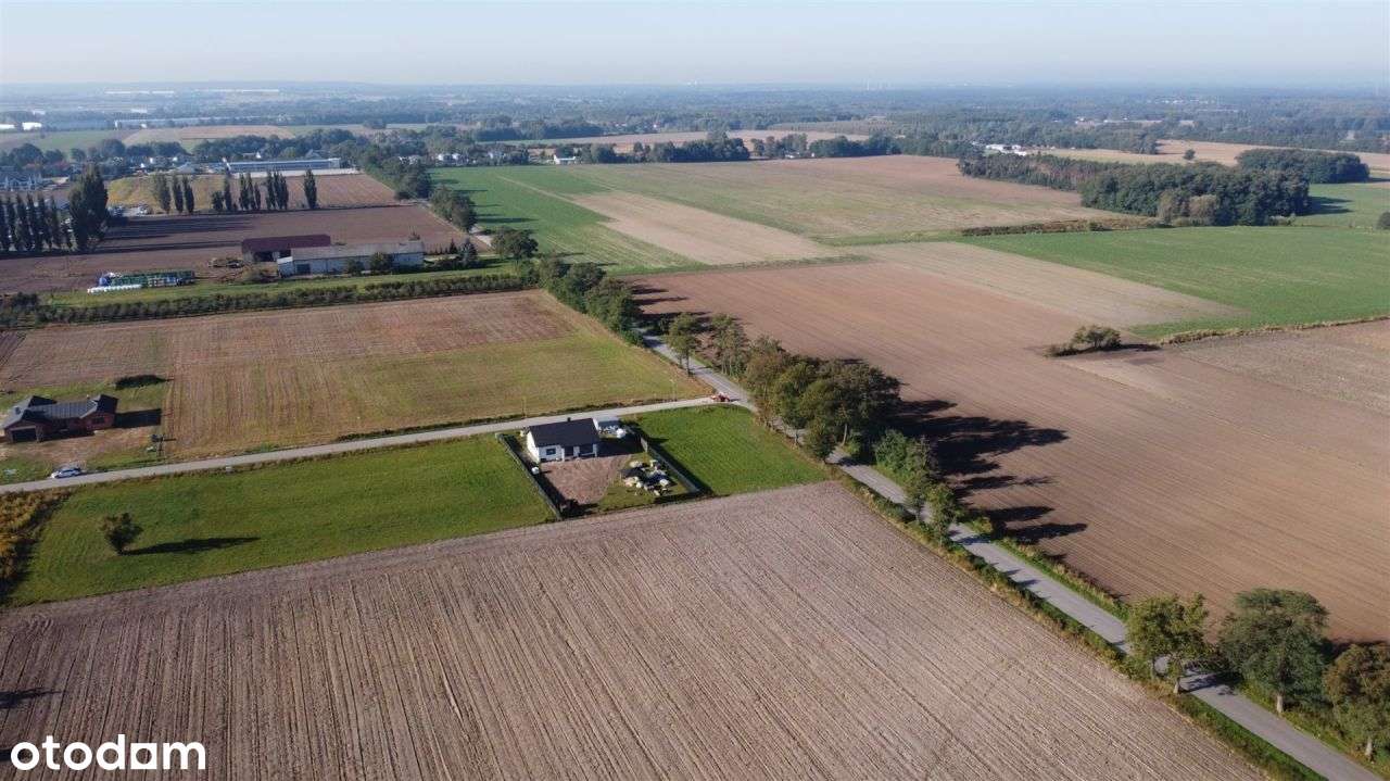 Działka, 1 307 m², Tymianka - Pełny obrazek: 5/6