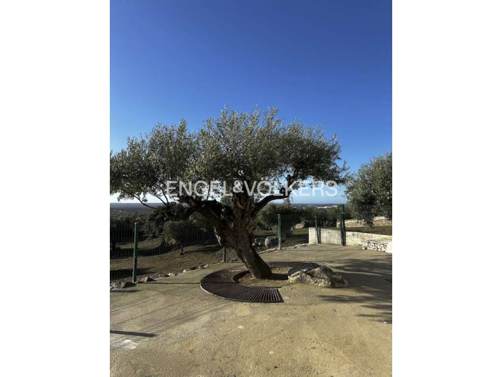 Quinta de Turismo em Carapatello no Alentejo - Grande imagem: 3/45