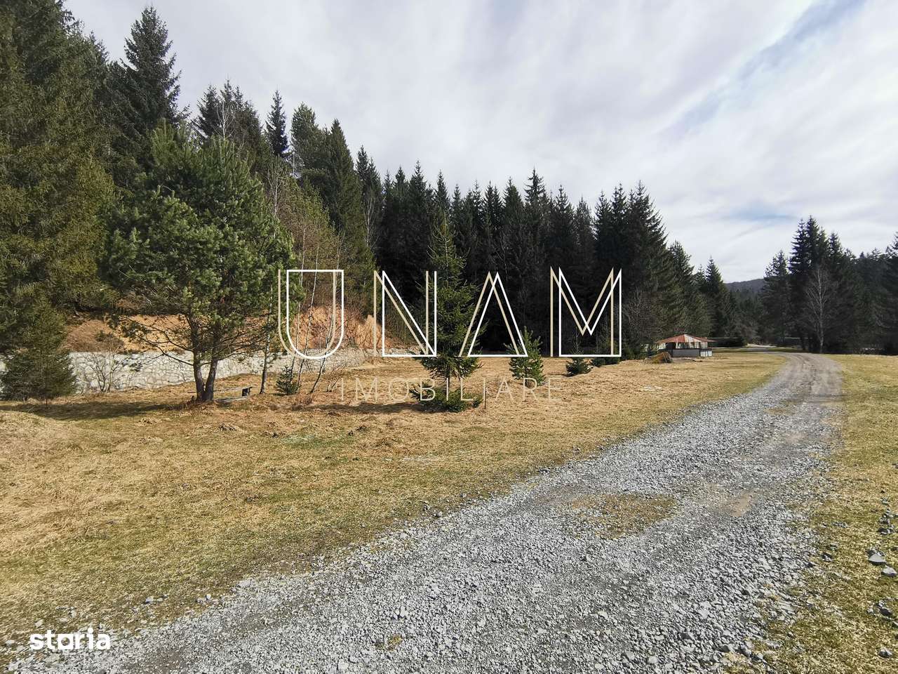 ***OFERTA NOUA*** Teren lângă Scenă, în Poiana Lupului, Gărâna-7