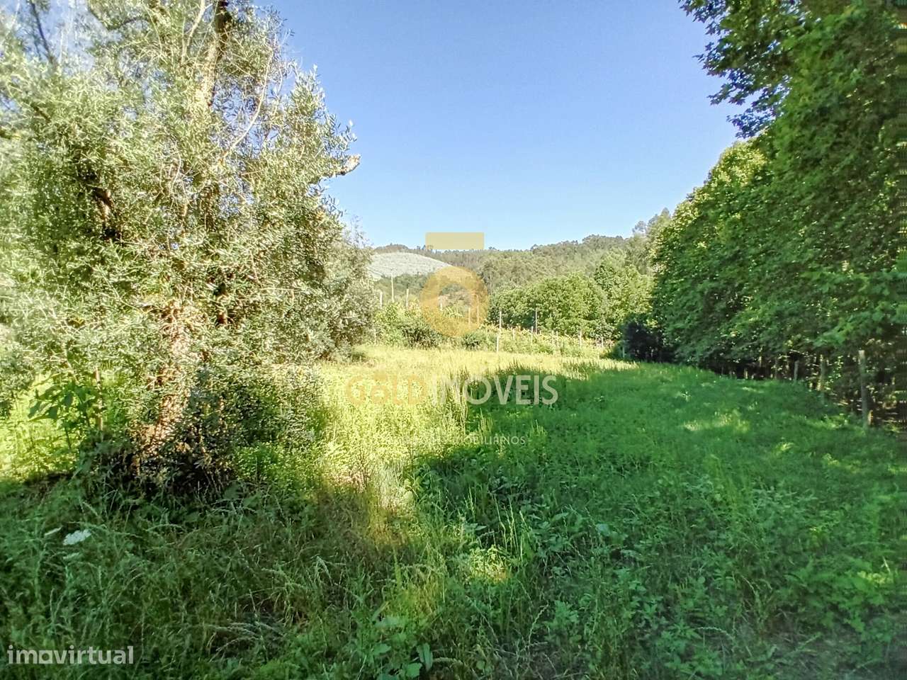 Moradia T3 Venda em Real,Castelo de Paiva-12