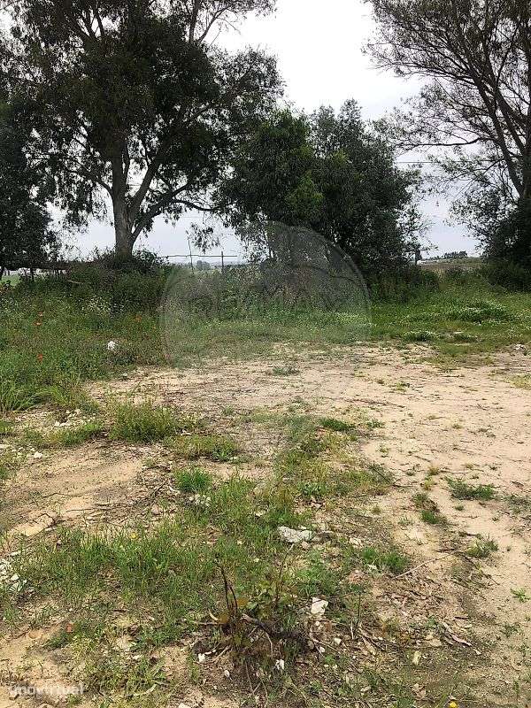 Terreno  para venda - Grande imagem: 5/5