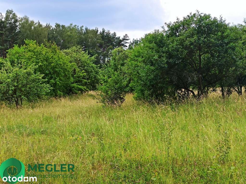 Działka niedaleko lasu-4