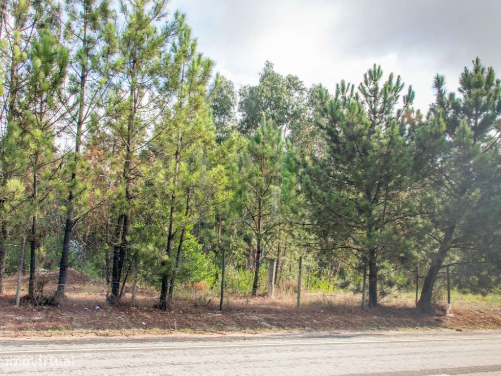 Terreno Venda Figueira da Foz - Grande imagem: 4/23