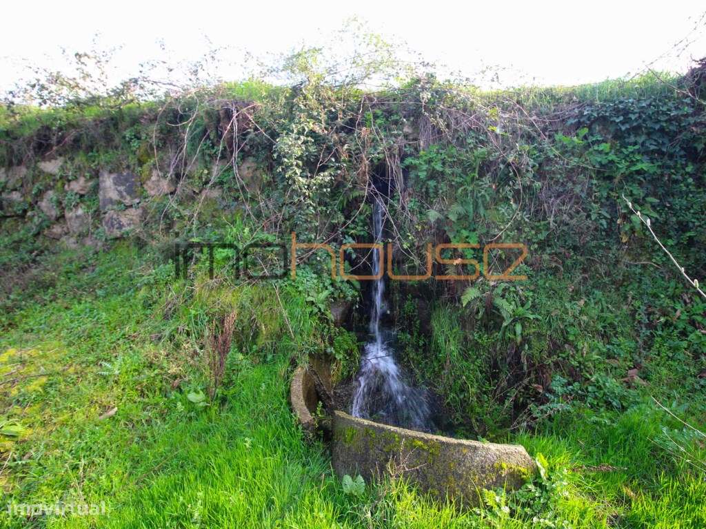 Quinta de 5.6 ha - Varias edificações, ribeiro e vista Douro-24