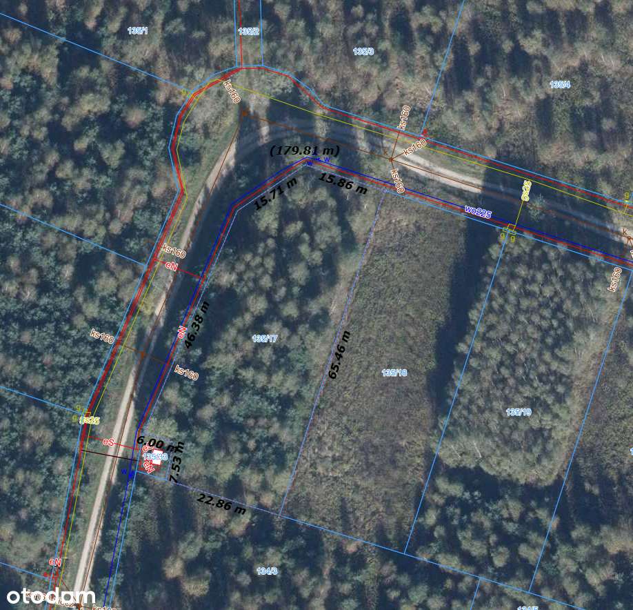 ROGALIN, Wyjątkowa działka pod miastem - Pełny obrazek: 5/5