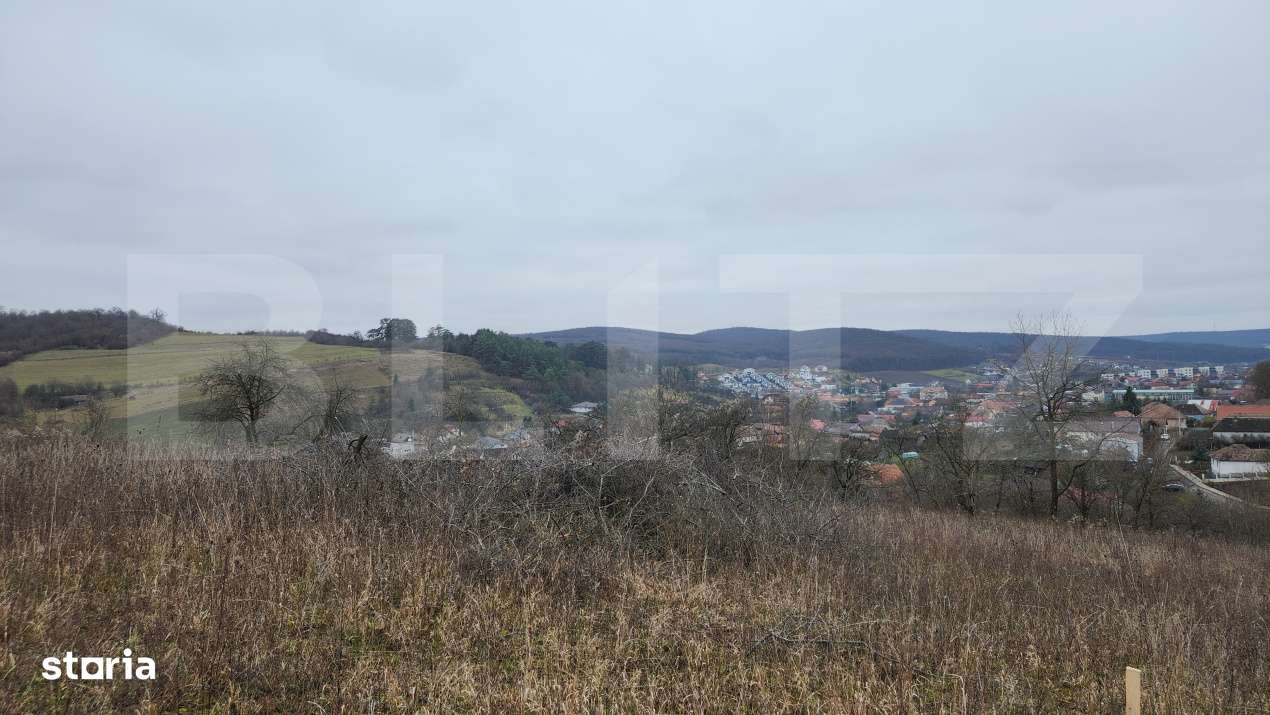 Teren intravilan 4774 mp  de vanzare in Livezeni - Imagine principală: 2/8