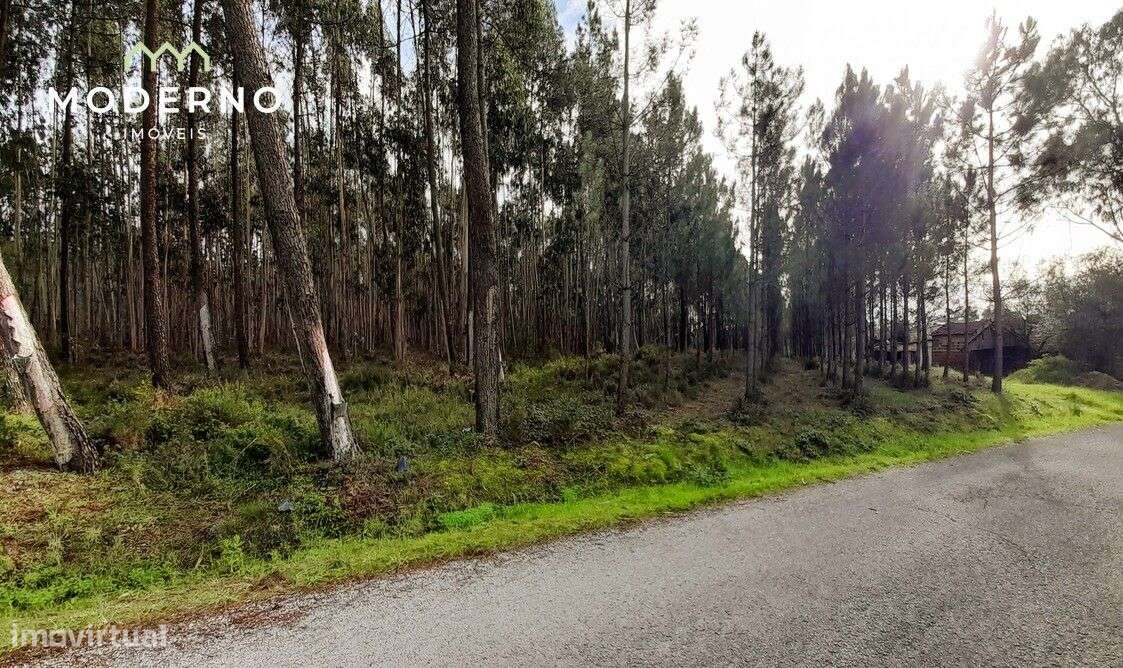 Terreno de Construção – Água Formosa – Ilha - Grande imagem: 2/6