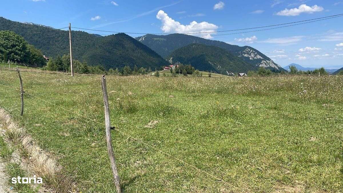 OPORTUNITATE UNICA Teren 4000 mp cu Priveliste Impresionantă - Imagine principală: 5/7