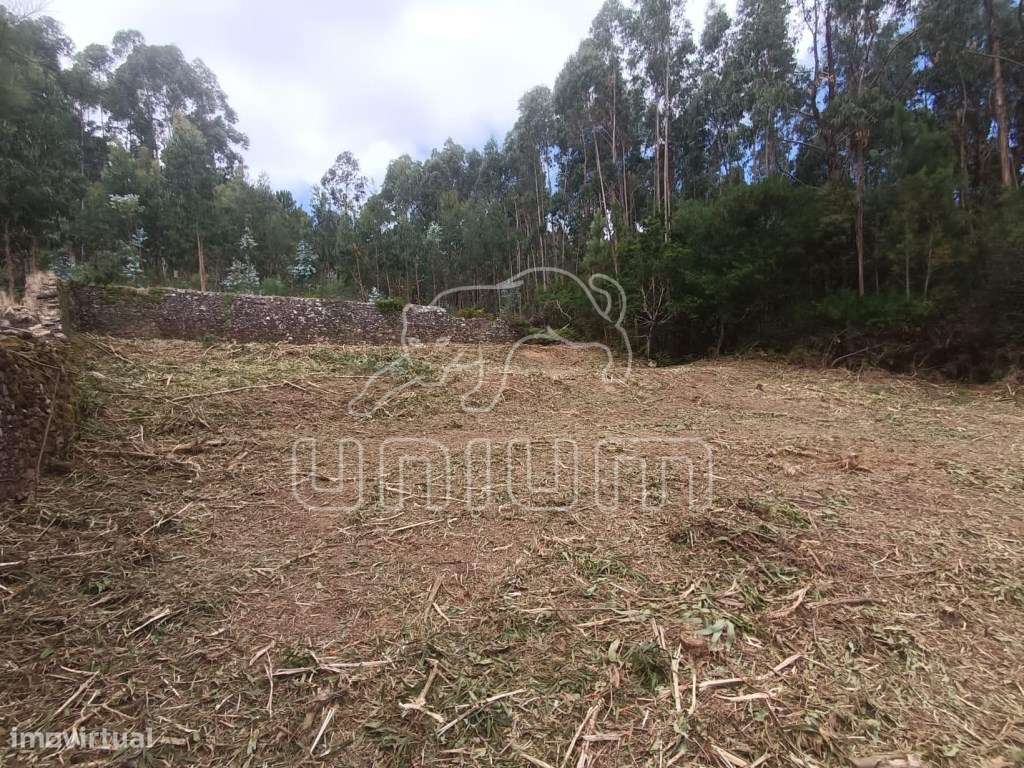 Terreno Urbano com projeto aprovado em Vilarelho-5