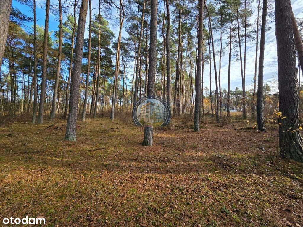 Działka w lesie, pod dom 900 m od plaży-5