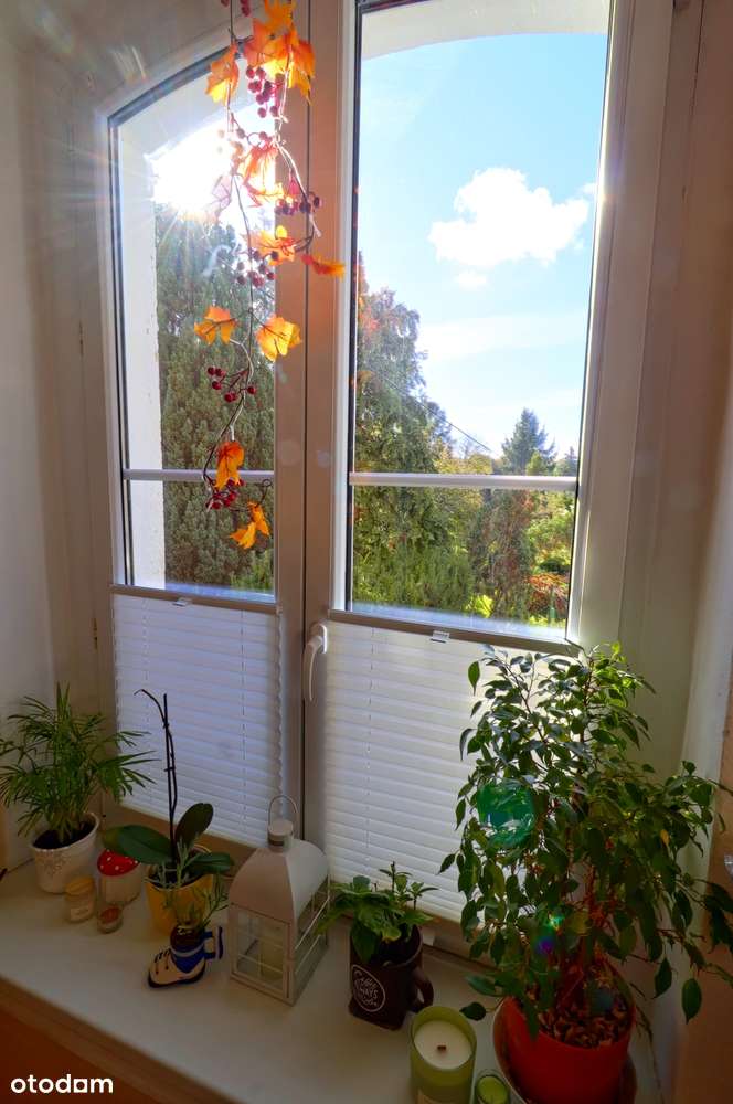 Perła!Willowy Apartament z Tarasem Kominkiem i Ogrodem ul Podróżnicza!-13