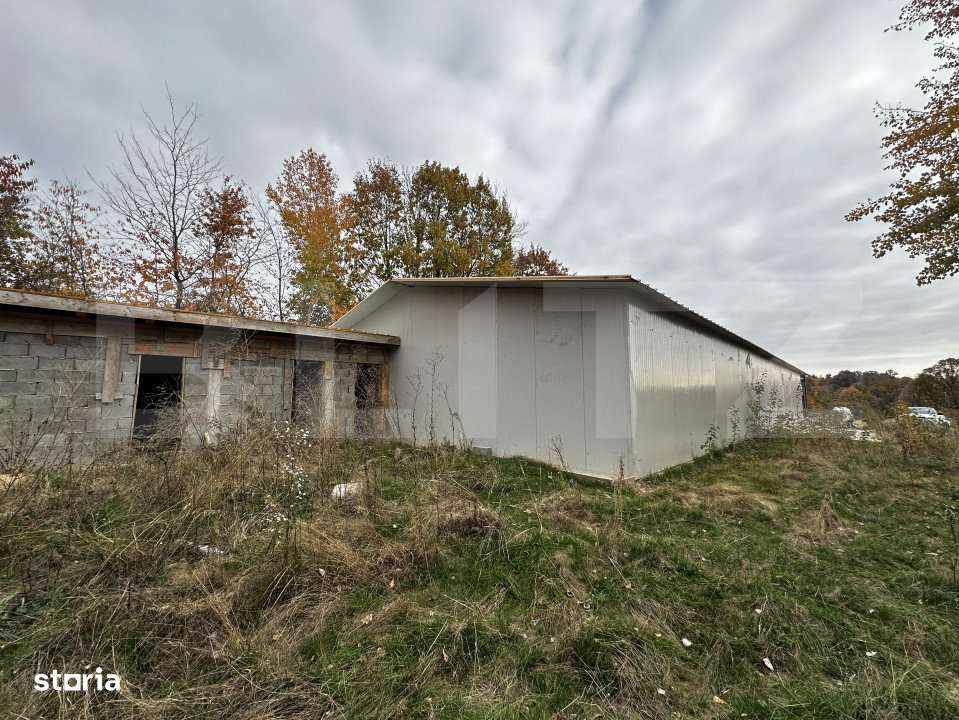 Hala 400 mp si 10000 mp teren - Imagine principală: 3/7