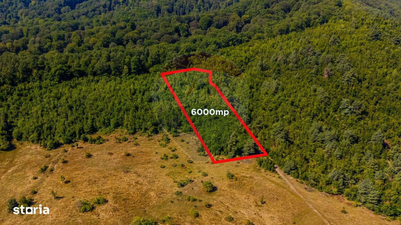 Teren 6,000mp Crizbav / Strada principala - Imagine principală: 1/9