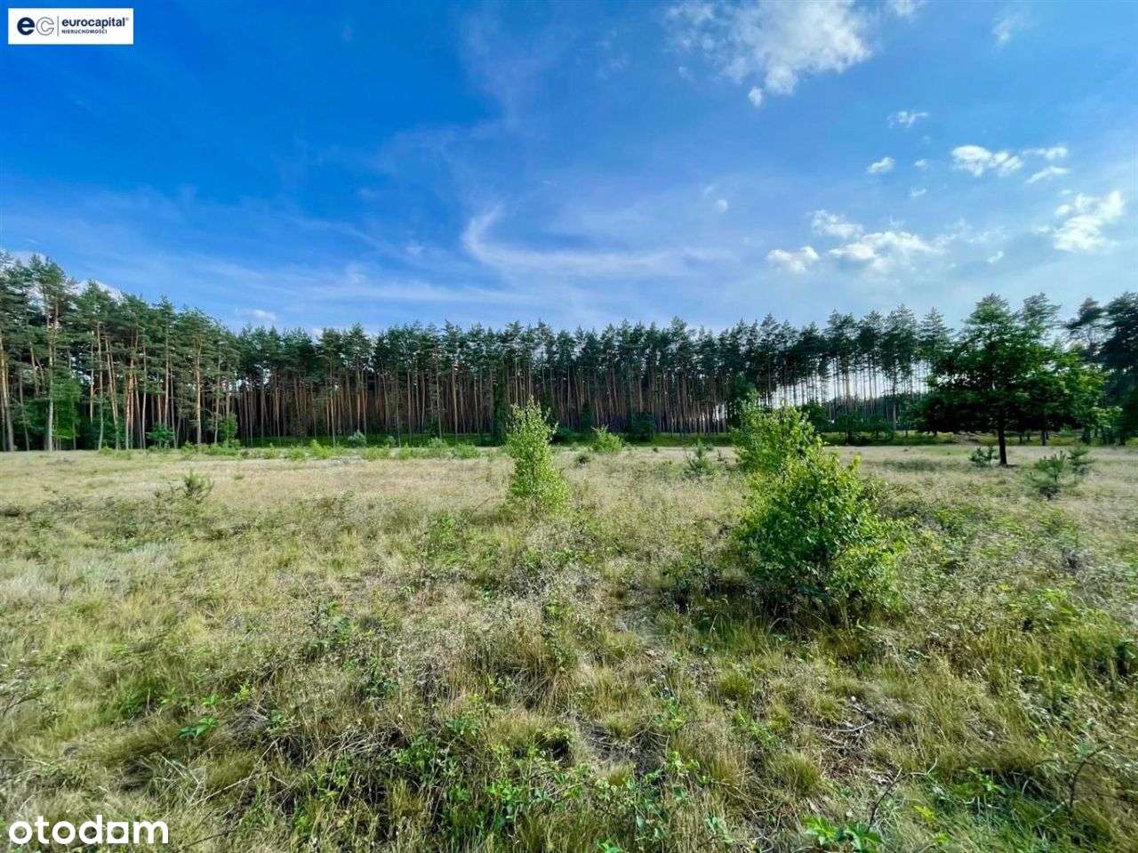 Olbrzymia Działka W Lesie Z Prawem Zabudowy!-2