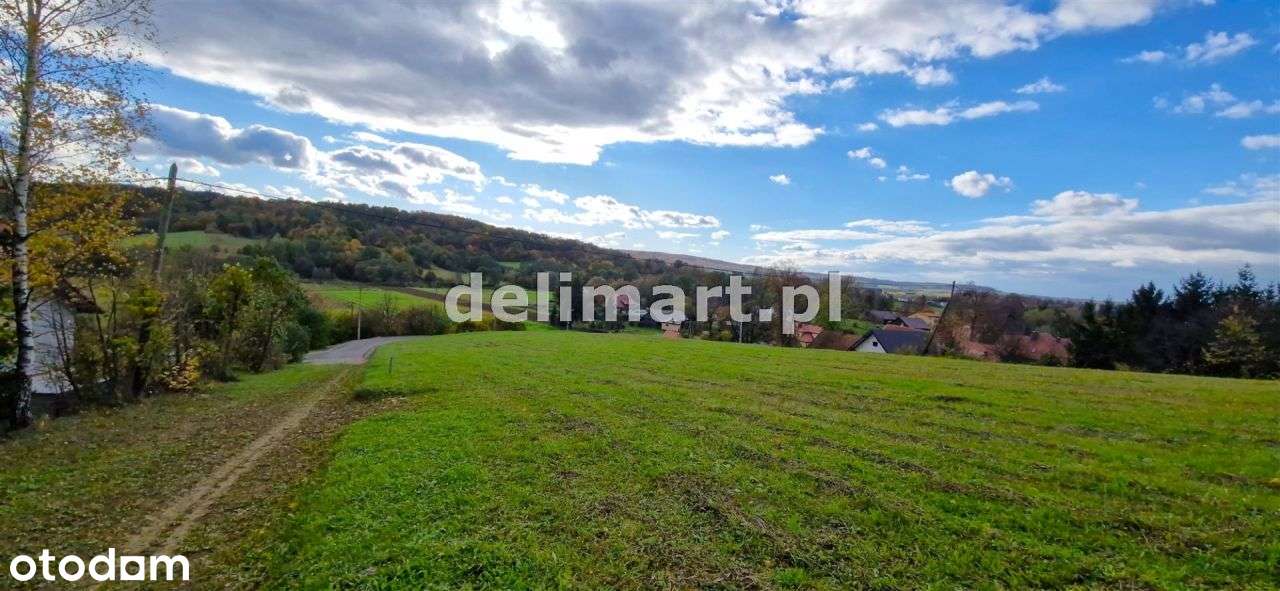 Piękna widokowa działka Srogów Dolny - Pełny obrazek: 4/18