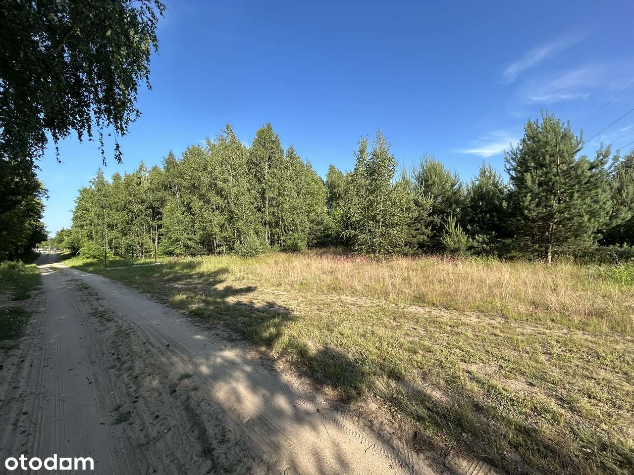 Działka 3800 m.kw. , ul. Serwituty-1