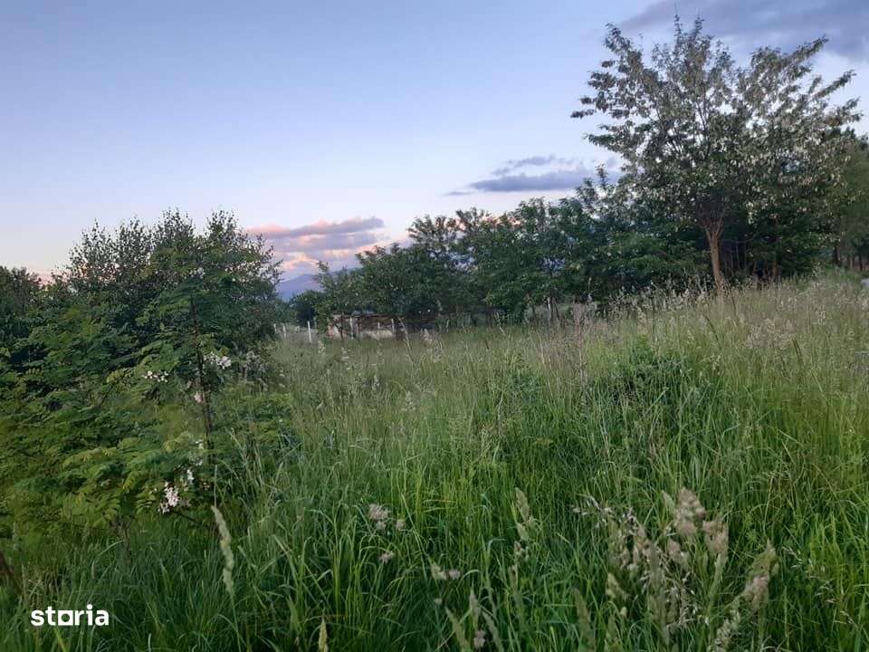 Teren intravilan, 1000 mp, cu utilitati, Valea Avrigului - Imagine principală: 3/3