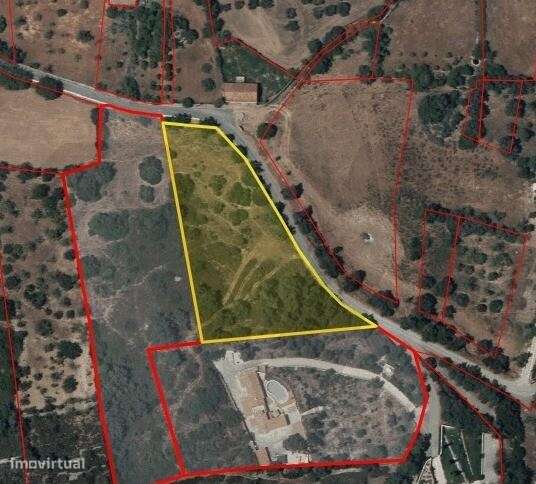 Terreno Rústico com 7500 m2 no Poço Novo - São Clemente - Loulé - Grande imagem: 4/30