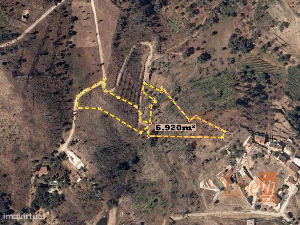 Terreno Rústico com 6920 m² em Tomar - Grande imagem: 4/4