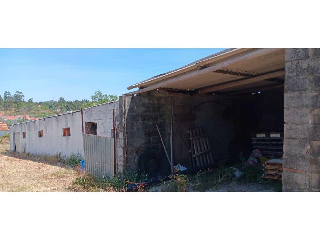 Vários Anexos para Recuperação com Terreno Venda Nova, Envendos - Grande imagem: 5/22