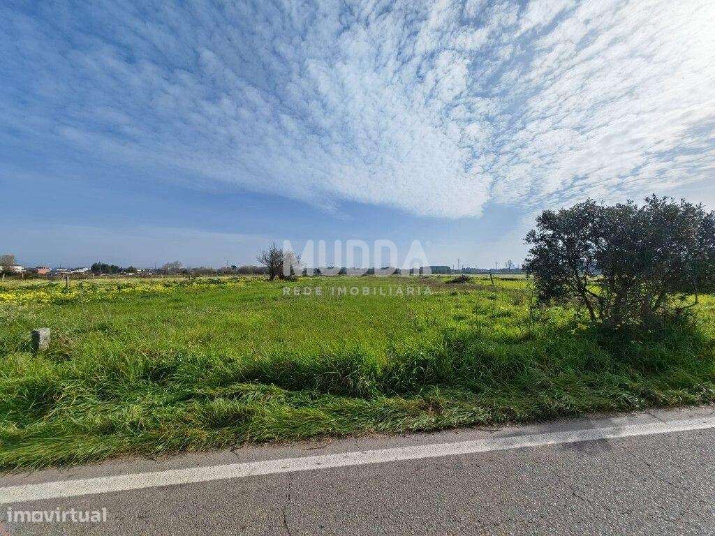 Terreno Rústico, Cacia, Aveiro - Grande imagem: 1/6