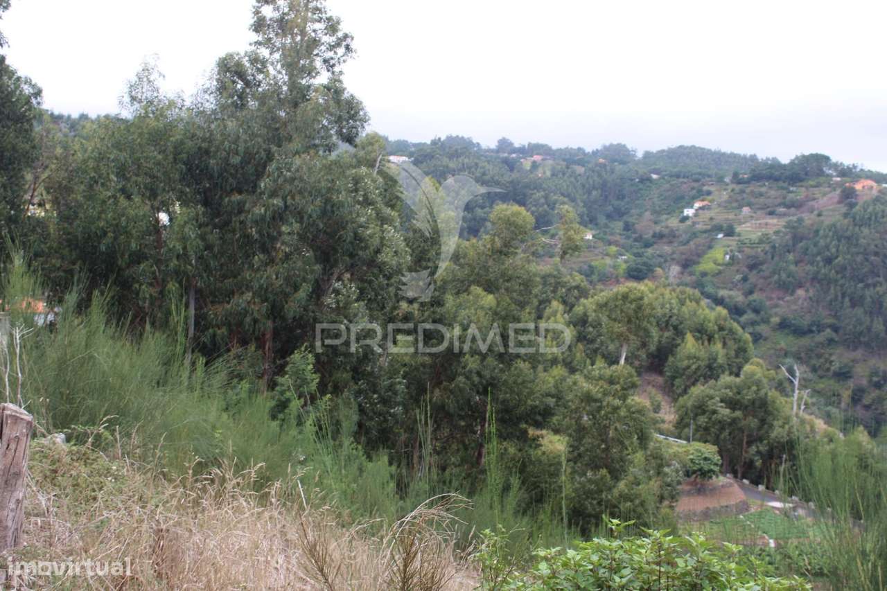 Terreno misto com área de total 1610m2 em Santa Cruz - Grande imagem: 4/26