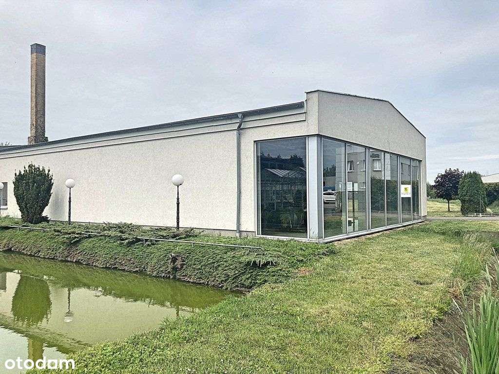 Lokal użytkowy - Baranowo k/Poznania - Pełny obrazek: 4/15