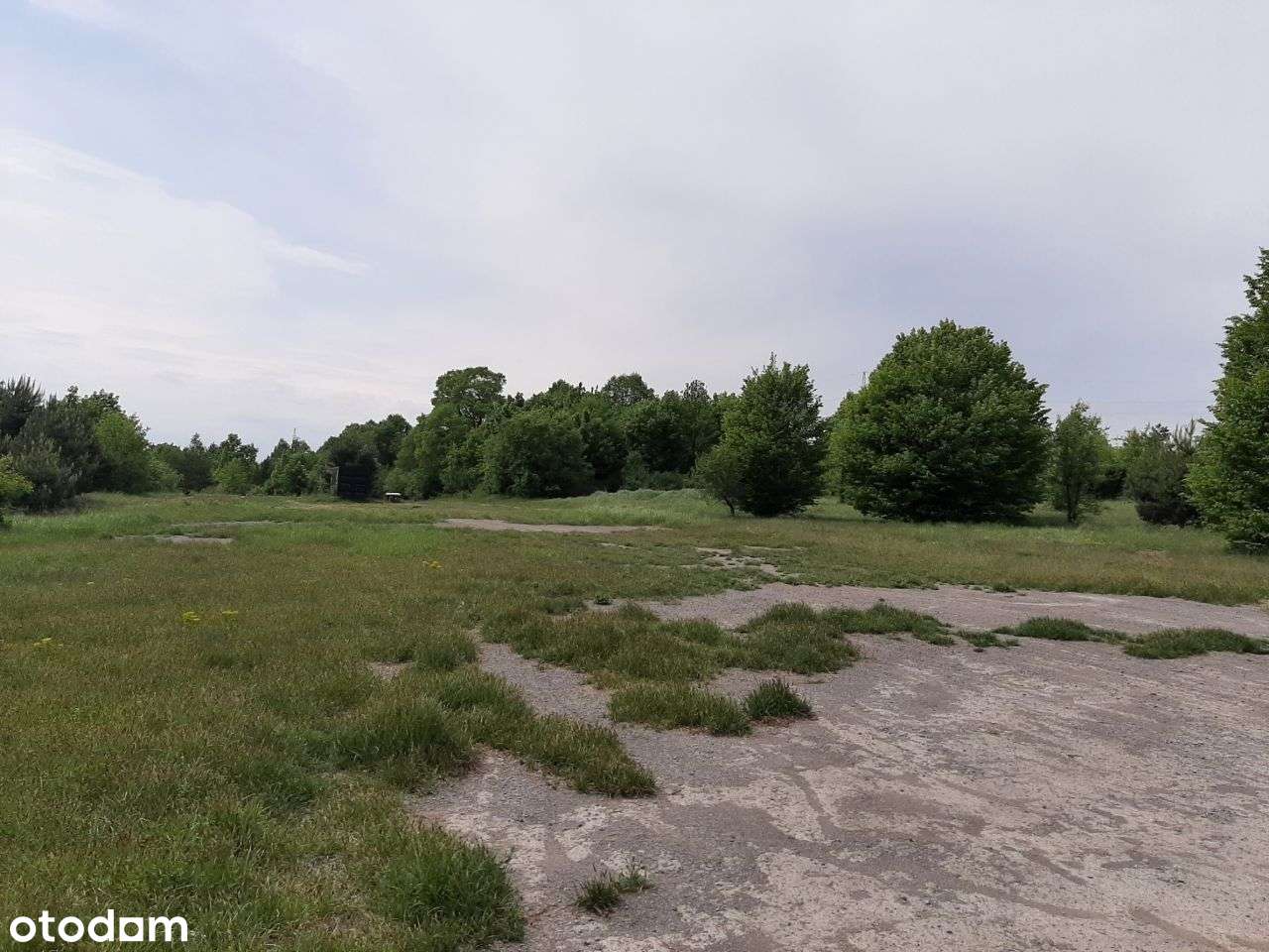 Nieruchomość w Częstochowie / 7,5006 ha - Pełny obrazek: 3/5