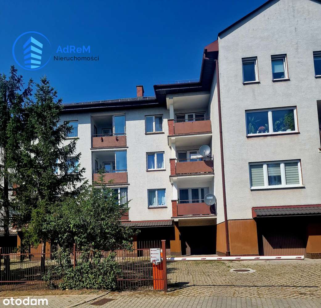 Mieszkanie Kochanowskiego - Pełny obrazek: 1/15