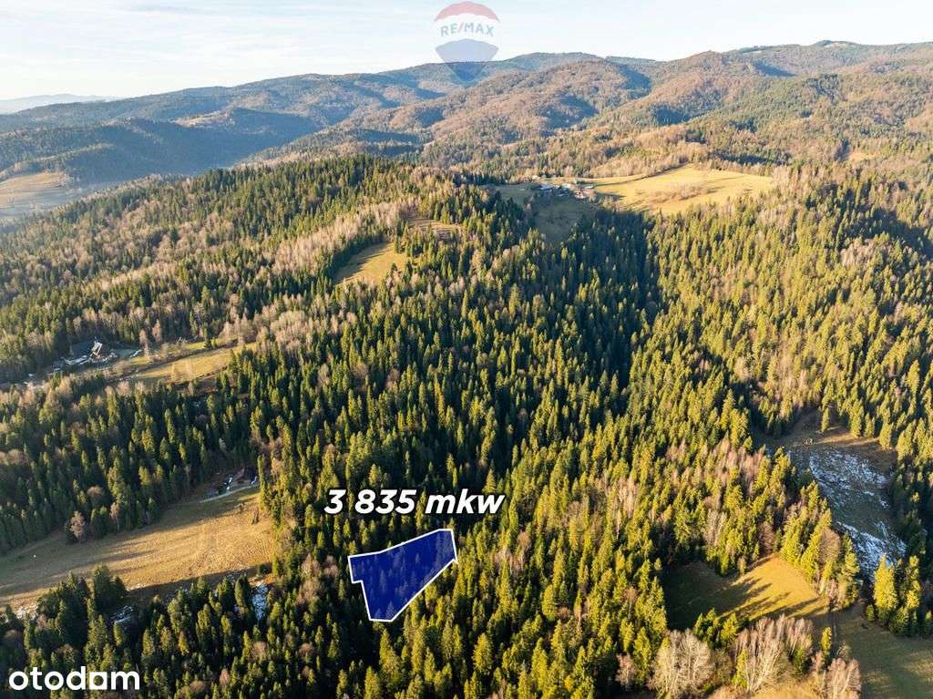 Działka, 9 068 m², Harklowa - Pełny obrazek: 4/20