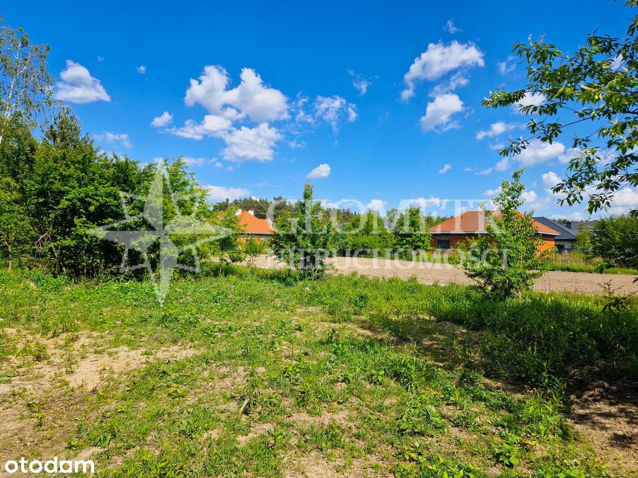 na granicy z Warszawą, pod lasem-7