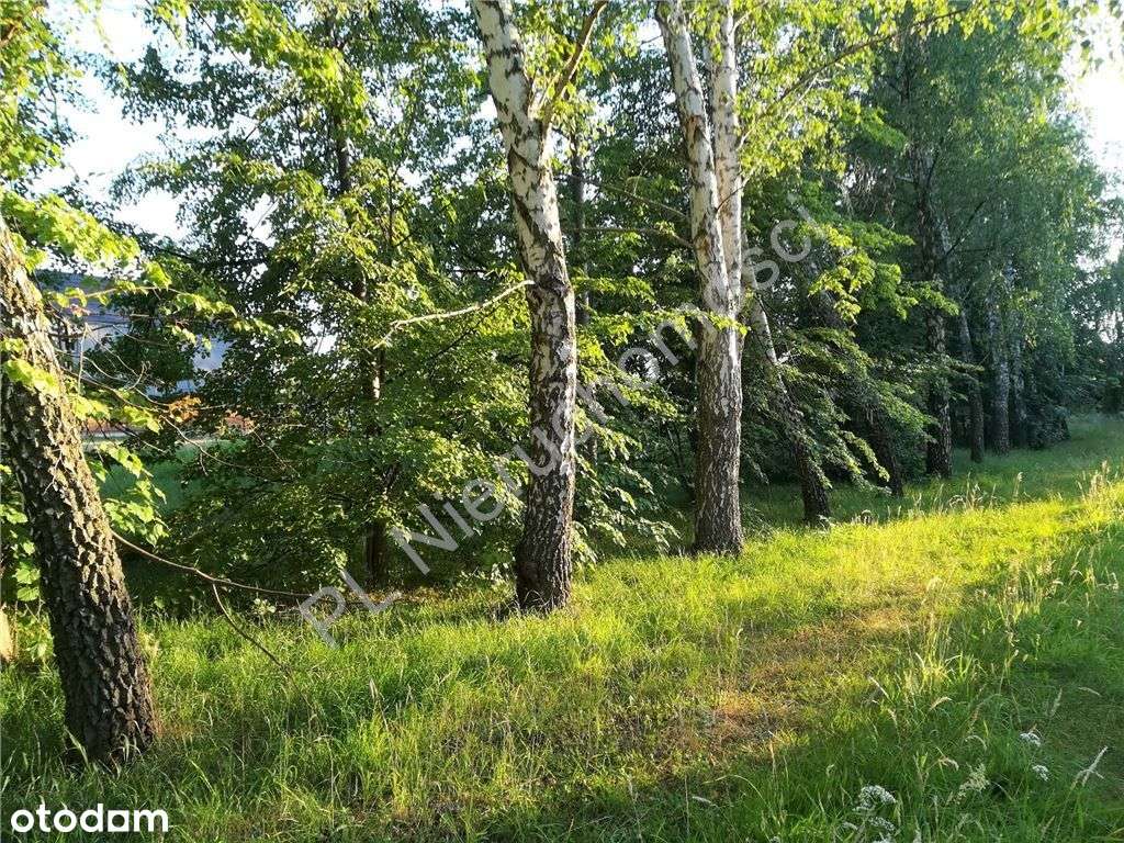 Działka, 1 498 m², Pęcice