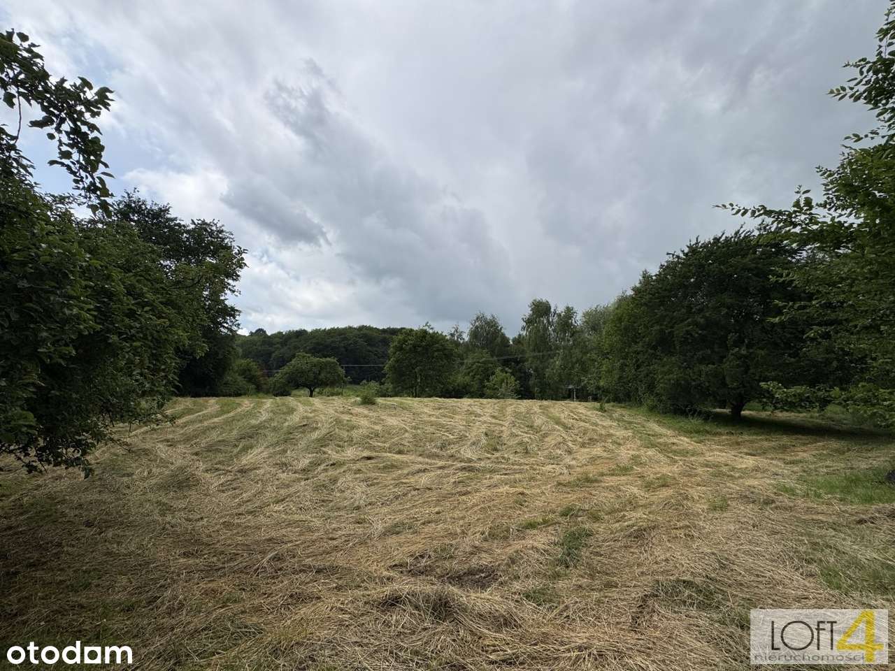 Działka budowlana - Szczepanowice. - Pełny obrazek: 5/15