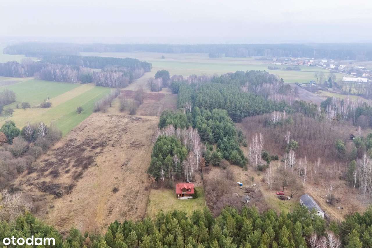 Drewniany, całoroczny dom z klimatem – cisza, las i prywatność - Pełny obrazek: 2/20
