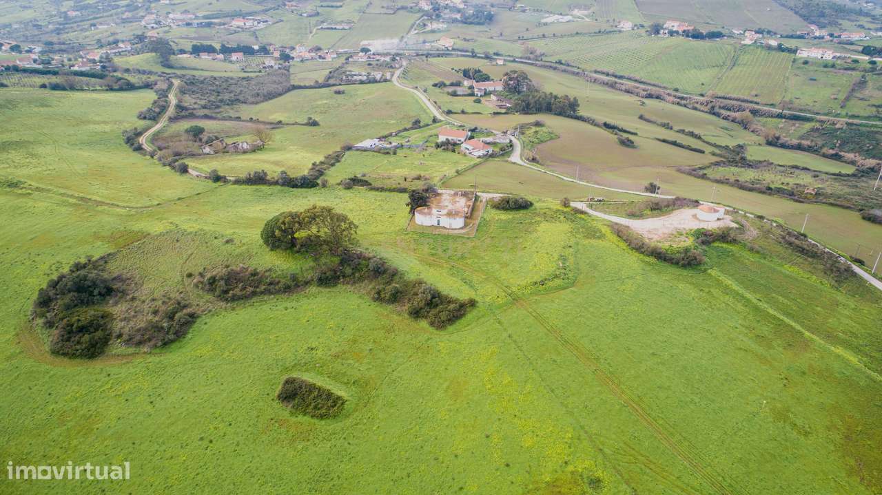 Quinta - 25 hectares-7