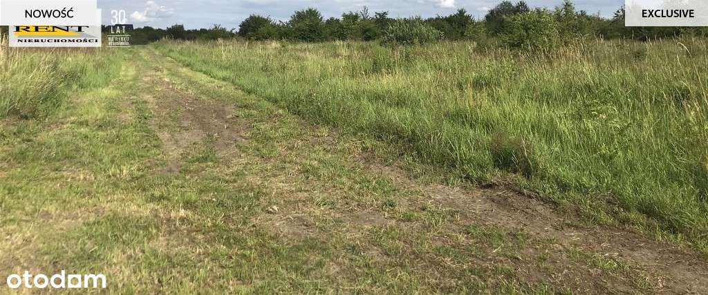 Działka budowlana,grunt,teren z MPZP - Pełny obrazek: 4/5