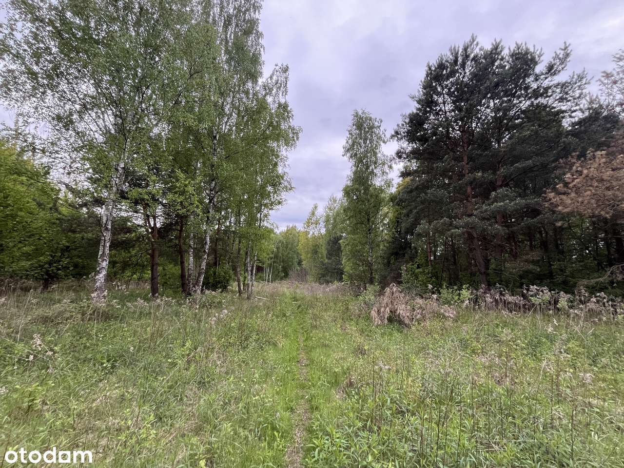 Malownicza działka z linią brzegową Świdra-4