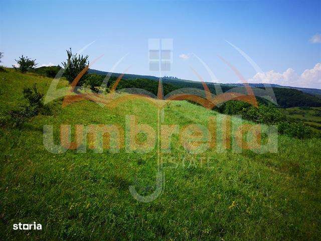 Teren de vanzare in Zona Gheorgheni 7.200 mp - Imagine principală: 2/3