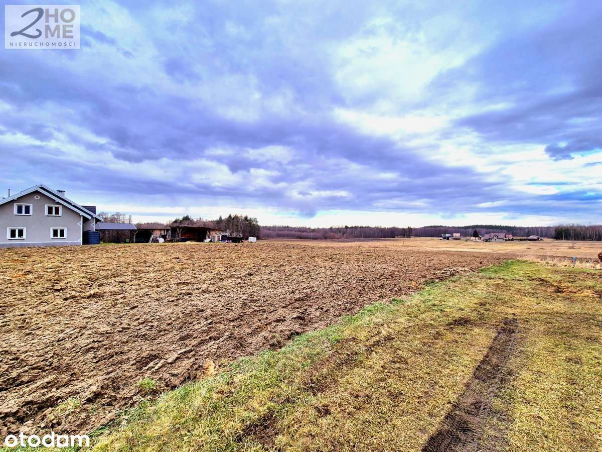 40 arów z WZ w Janowcu-7