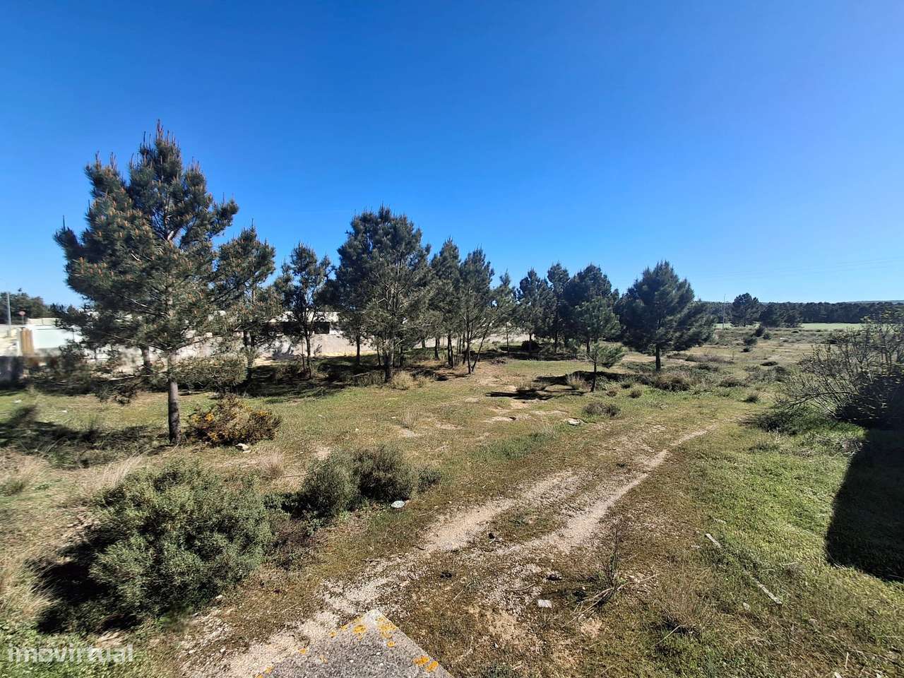 Terreno Urbano 2360m² Quinta do Anjo - Rua Rosa Branca - Grande imagem: 4/8