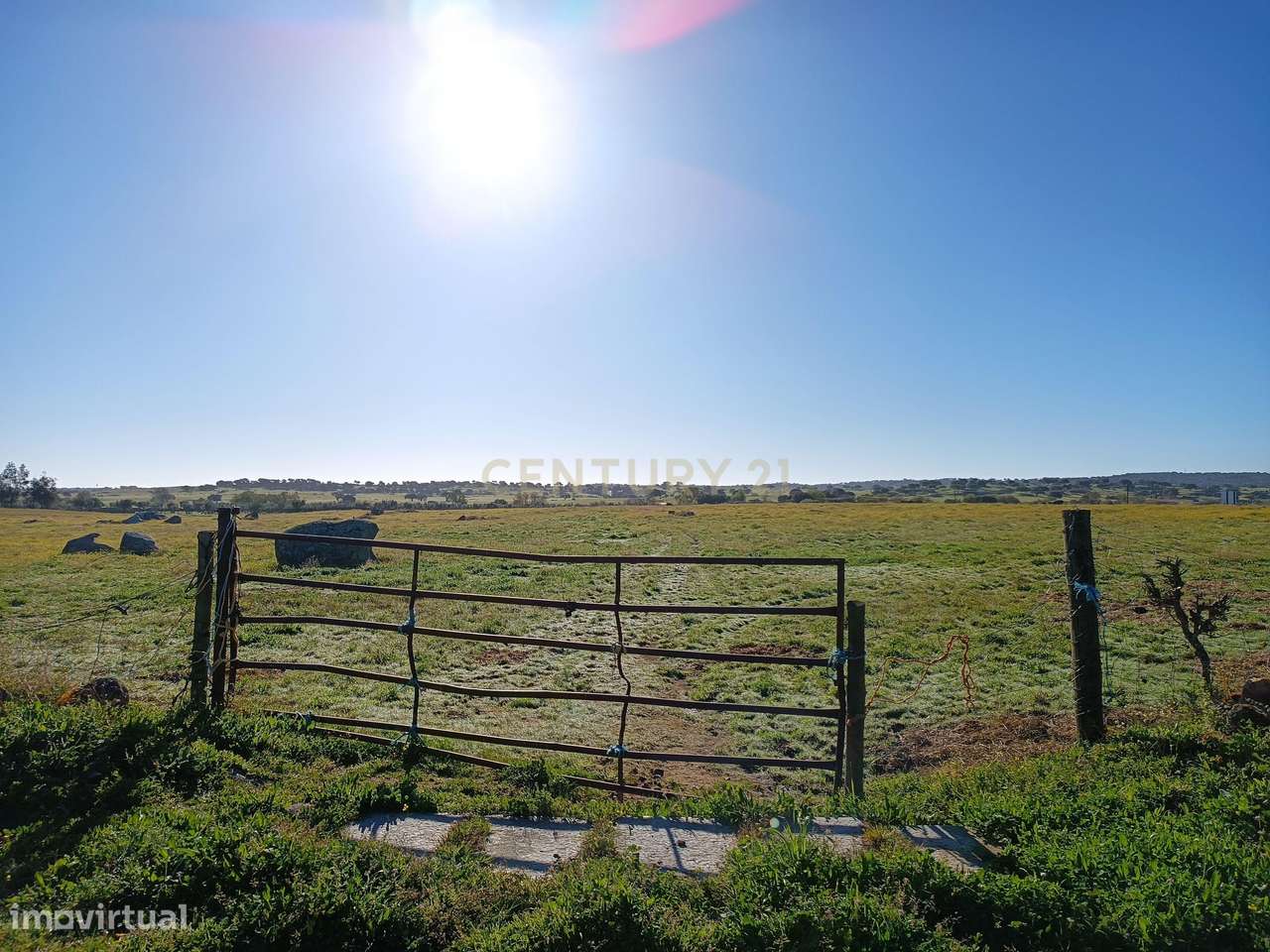 Terreno Rústico próximo da Barragem do Caia - Grande imagem: 4/5