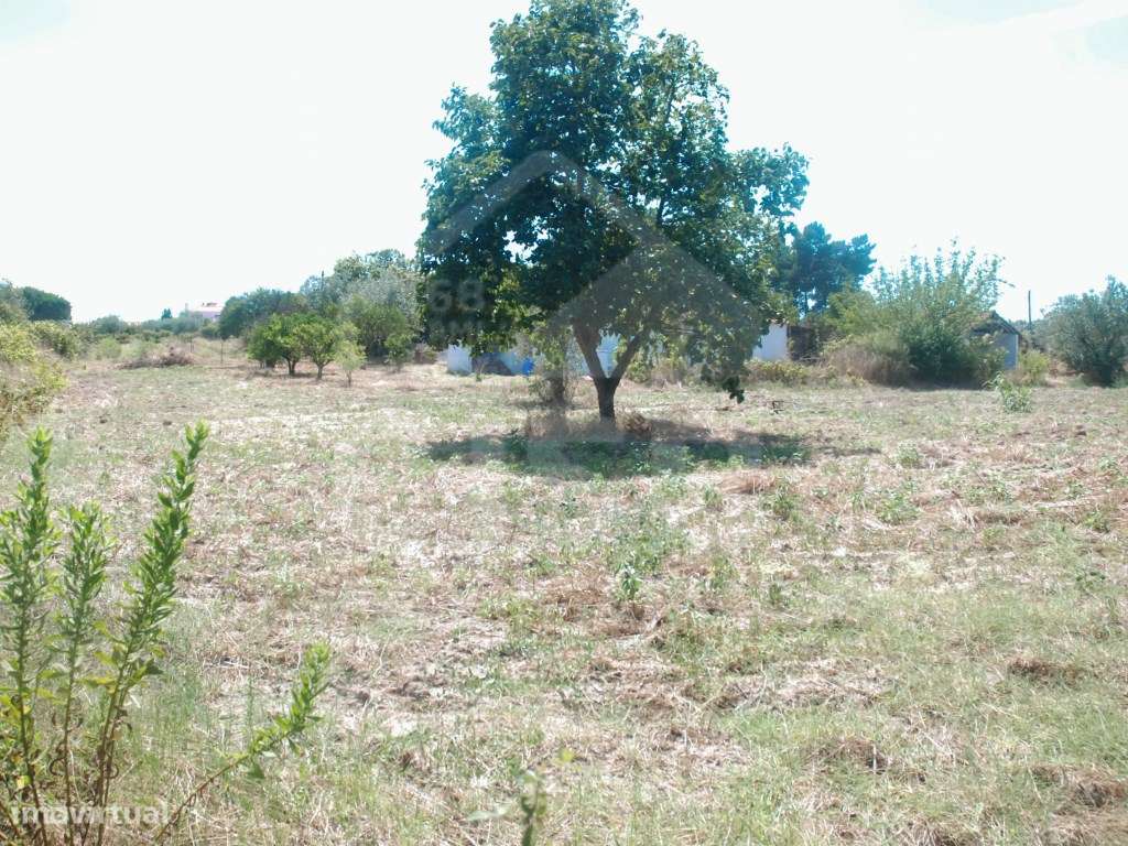 Quinta T4 nos Foros da Branca-37