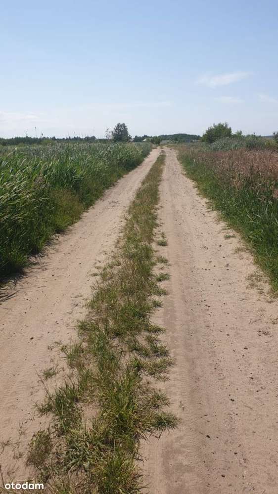 Działka, 1 370 m², Międzywodzie - Pełny obrazek: 4/10