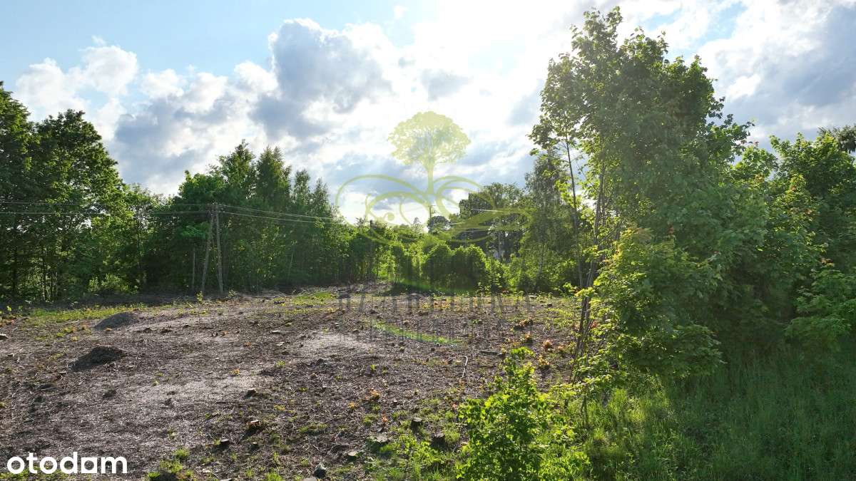 Pod działalność usługową lub dom z usługami !!!-6