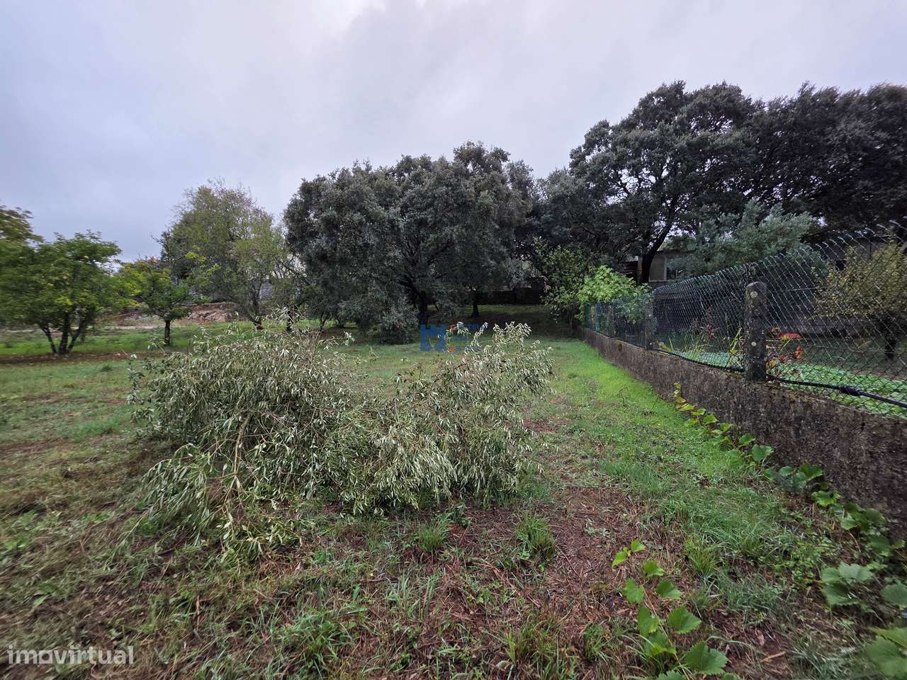Lotes de Terreno para Construção em Fátima-24