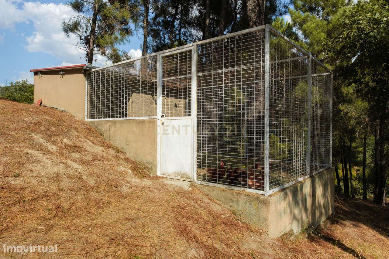 QUINTA PARADISÍACA, COM PISCINA, ÀS PORTAS DA CIDADE DA GUARDA-39