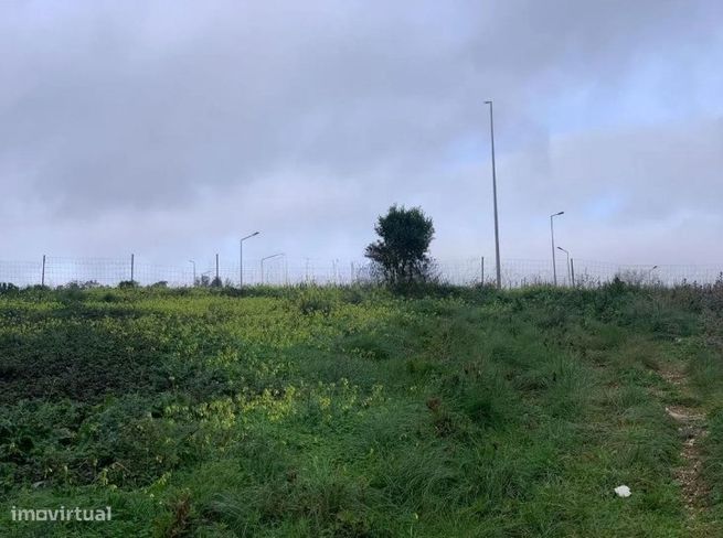Terreno  Venda em Sintra (Santa Maria e São Miguel, São Martinho e São-3