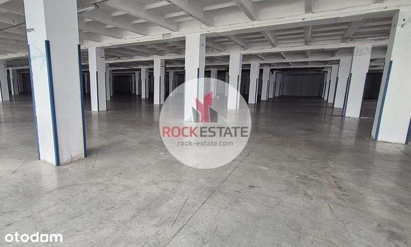 Magazyn 7tys m2 wolnostojący w Łódzi od zaraz - Pełny obrazek: 4/5