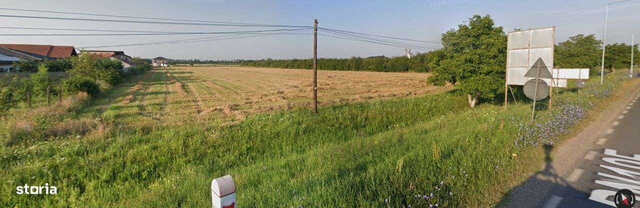 Teren 20.500 m² de vânzare în Mărtinești, între Satu Mare și Odoreu - Imagine principală: 1/4