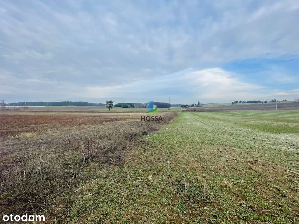 Działka budowlana w Rozdrożu k. Nidzicy - Pełny obrazek: 4/14